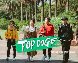 91国产探花《TOP DOG》免费在线观看