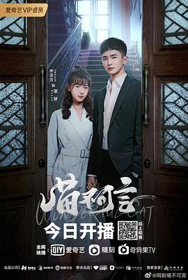 91大神《喵不可言》免费在线观看