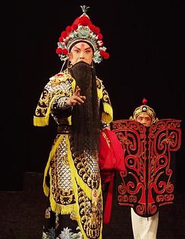 91大神《袁崇焕2009》免费在线观看