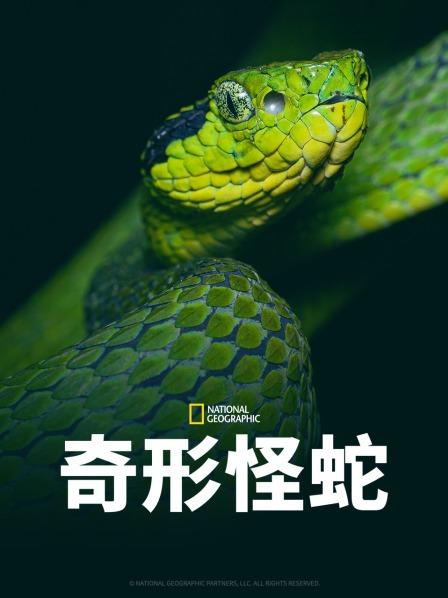 91大神《奇形怪蛇》免费在线观看